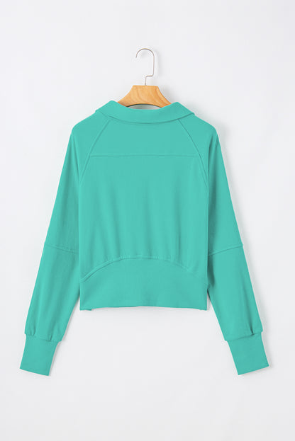 Aruba Blue Quarter Zip Stand Neck Kangaroo Pocket Sweatshirt