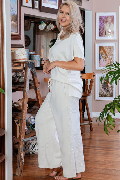 Beige Plus Size Textured Collared Top and Pants Set